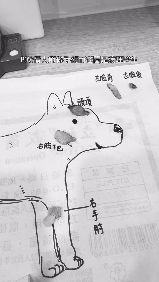 2026.08.19
情人節上班
而我們的老闆是病理醫生😅 縮圖
