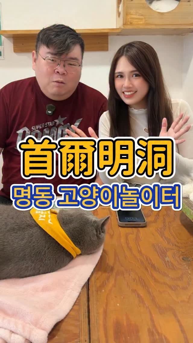 🇰🇷 明洞逛街逛累了,就來吸貓吧🐱
명동 고양이놀이터
這間貓咪咖啡廳裡的貓咪
真的比我想像中還親人🥹💕
可以近距離摸摸、陪牠們玩,
整個就是被貓咪包圍的療癒時間!
入場只要 14,000韓元(含一杯飲料)
店名:명동 고양이놀이터
地址:首爾明洞
서울 중구 명동8길 37-14, 3층
電話: 02 3789 2207(Naver map電話可以搜尋到)
如果你去首爾也喜歡找一些
「不只是逛街」的小景點
這間可以先收藏起來🐾
#首爾景點 #明洞美食 #韓國旅遊 #貓咪咖啡廳 #首爾自由行 縮圖