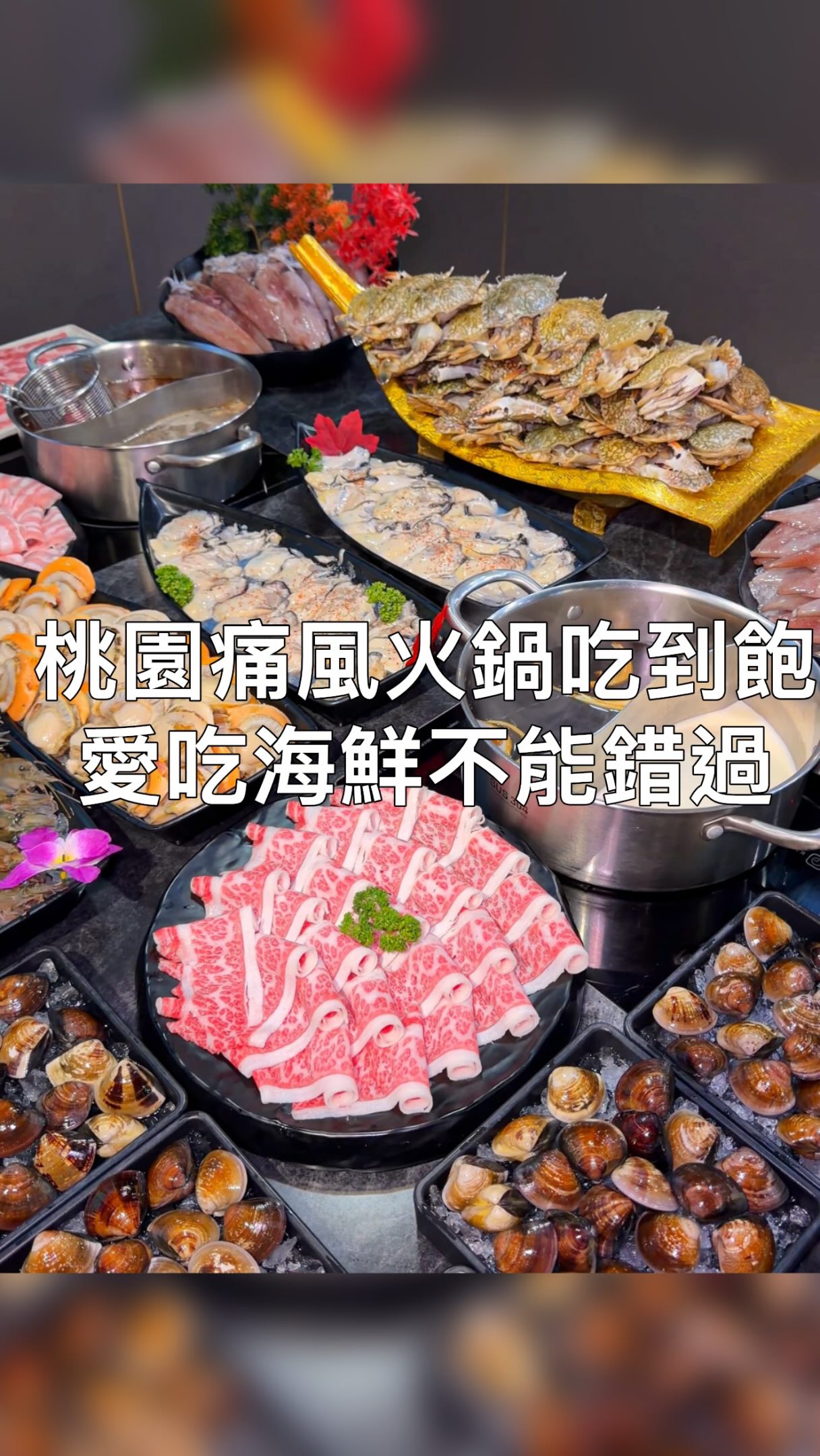 桃園痛風吃到飽火鍋,廣島牡蠣、日本帶卵巨大帆立貝、泰國蝦、東石大蛤蜊,螃蟹還有各種海鮮都吃到飽🦞
肉品有各種和牛、松阪豬和雞肉,和豐富的自助吧!
牛奶鍋跟黑蒜雞湯鍋都很讚,牛奶會直接給一整罐讓你加湯👍
吃到飽價格最便宜399,一直到1199五種方案可以選擇~
喜歡吃海鮮的人很適合來吃!
📍桃園。饌澤原火鍋
地址:桃園市蘆竹區南榮里桃園街6號
營業時間:11:30-16:00/17:00-23:00
電話:03-2120555
#桃園美食 #桃園火鍋 #吃到飽 #taoyuan #桃園 縮圖