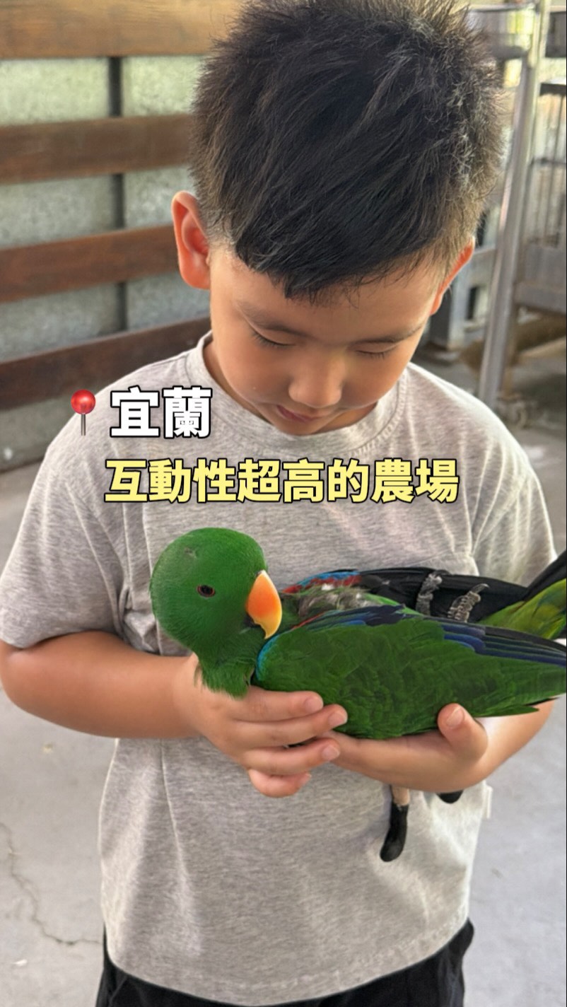 全台農場跑透透,這裡我們去過三次以上
每次都跟不同朋友去
近期農場轉型改成「互動性超高的親子友善農場」
本來預計40分鐘離開
默默在裡面待了快2個小時
只能說老闆轉型大成功!
#親子景點 #農場 #宜蘭親子景點 縮圖