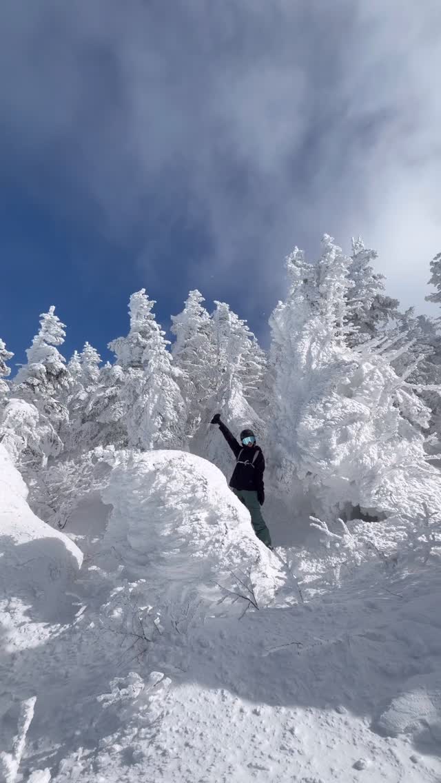 🇯🇵日本志賀高原超美橫手山頂
配上blue bird day 真的會原地被美哭
看到最後會看到我被撞飛🥹🥲（完美的ending?

#日本#滑雪 #橫手山 #滑雪是極限運動#很危險 縮圖