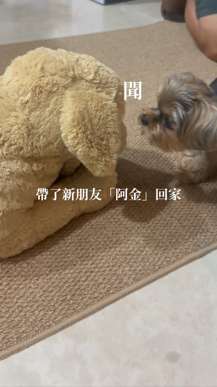 我們歡迎阿金回家👏 縮圖