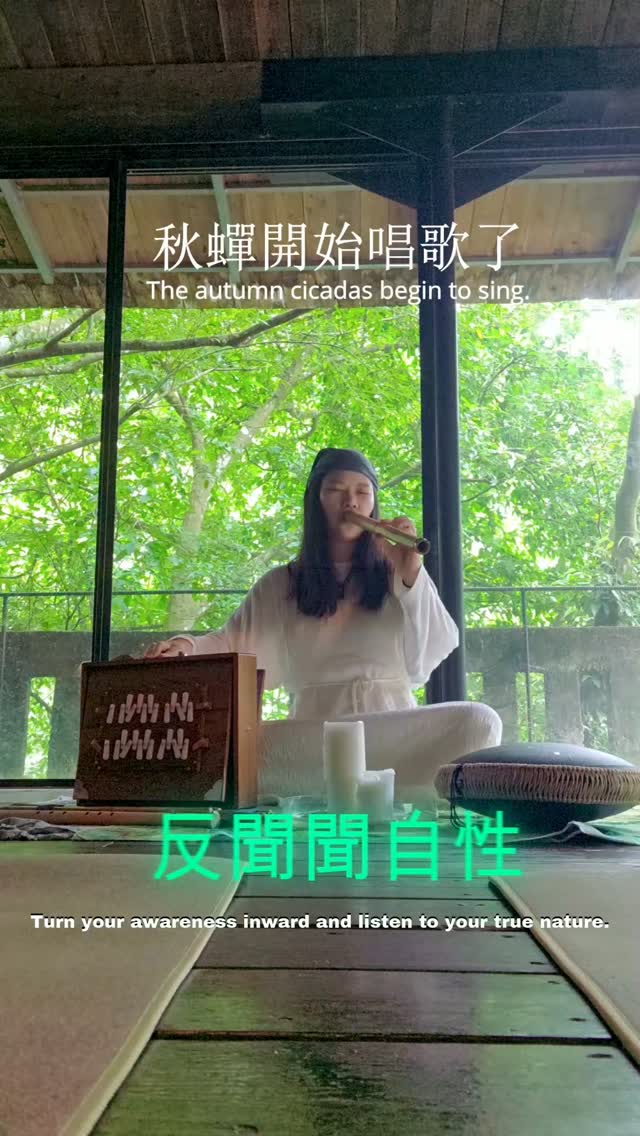 什麼是「療癒的聲音」？

432hz ? 水晶缽？頌缽？

這幾年探索關於療癒的聲音的概念
想跟大家分享醞釀很久了

影片要看到最後

印度風琴、空靈鼓、自由吟唱與笛子， 彼此聆聽、回應、共振。

途中， 秋蟬也開始唱歌了。

 不是在「演奏給誰聽」， 而是一起成為了這場聲音的一部分。

聲音可以帶我們感受振動， 感受身體， 也可以帶著覺知， 一層一層地往心裡走。

從聽見外在的聲音， 到聽見自己的心， 甚至最後回到無聲。

「反聞聞自性。」

探索聲音、聆聽與覺察的這條路
 ——覺照靜心音流。

有聲，是聆聽。 無聲，也是聆聽。

萬法唯心， 每一個聲音， 都可能成為回到自己的入口。𓂃𓈒𓏸

是誰在聽？

#覺照靜心音流 #聲音療癒 #聲音冥想 #即興音樂 #自由吟唱 共振 聆聽 SoundHealing Meditation Improvisation 縮圖