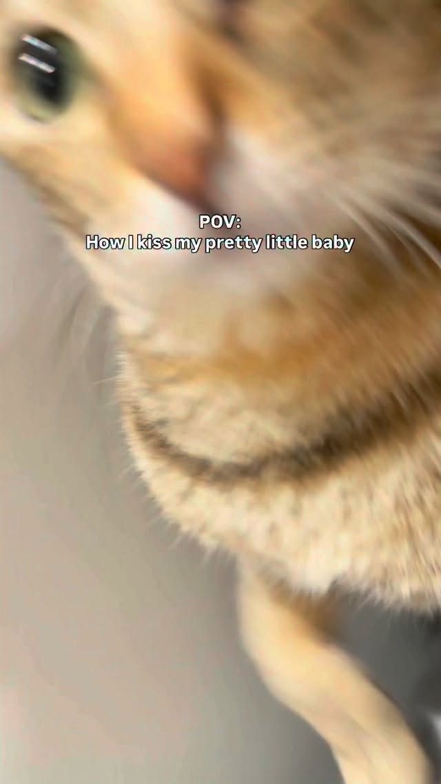 She low key loves it 縮圖