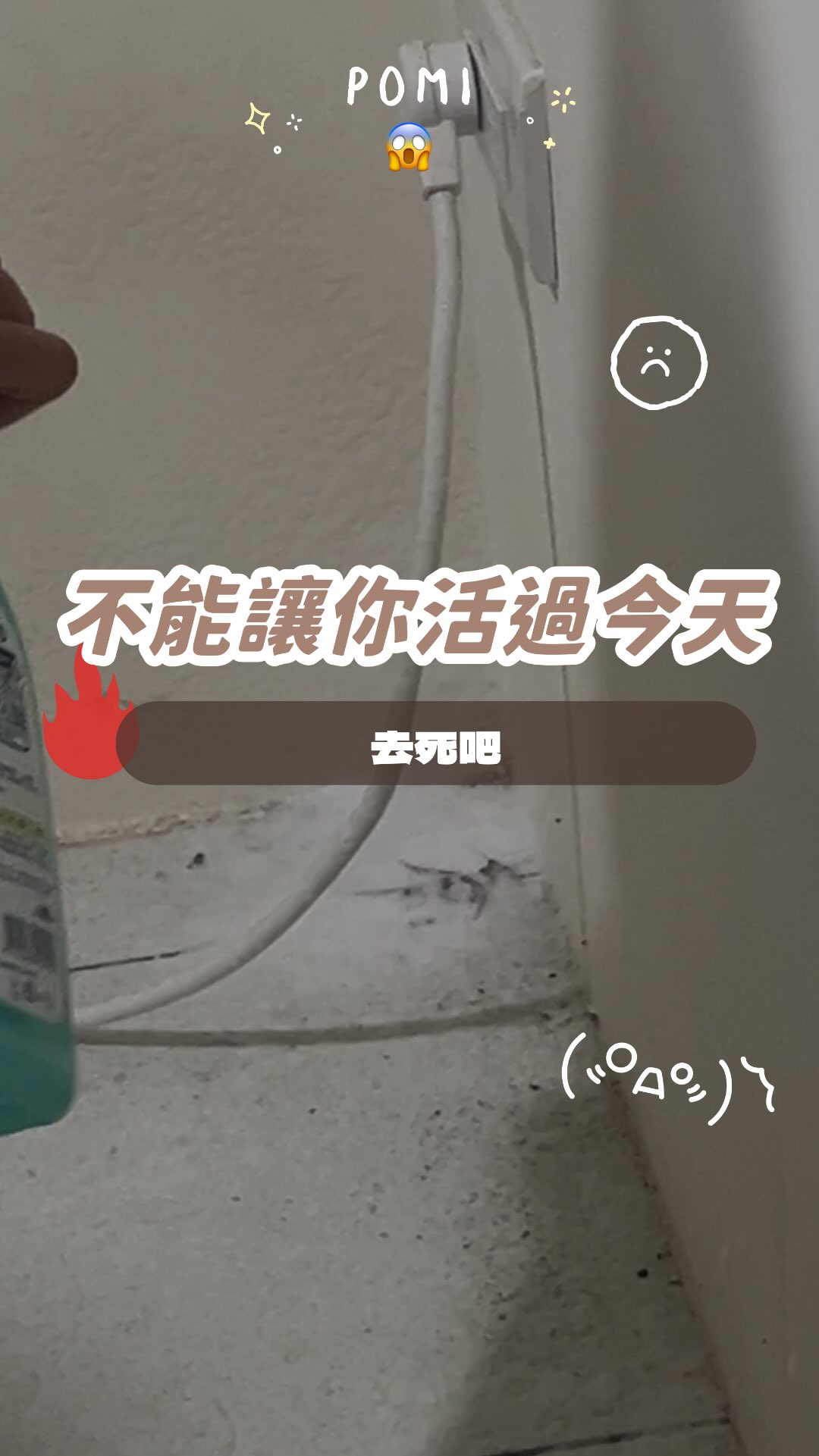 @chu.0222 she is黃小姐☺️
還好她在我家，我不用一個人面對！
我還把他騙進來拍影片🌝
#蟑螂 縮圖