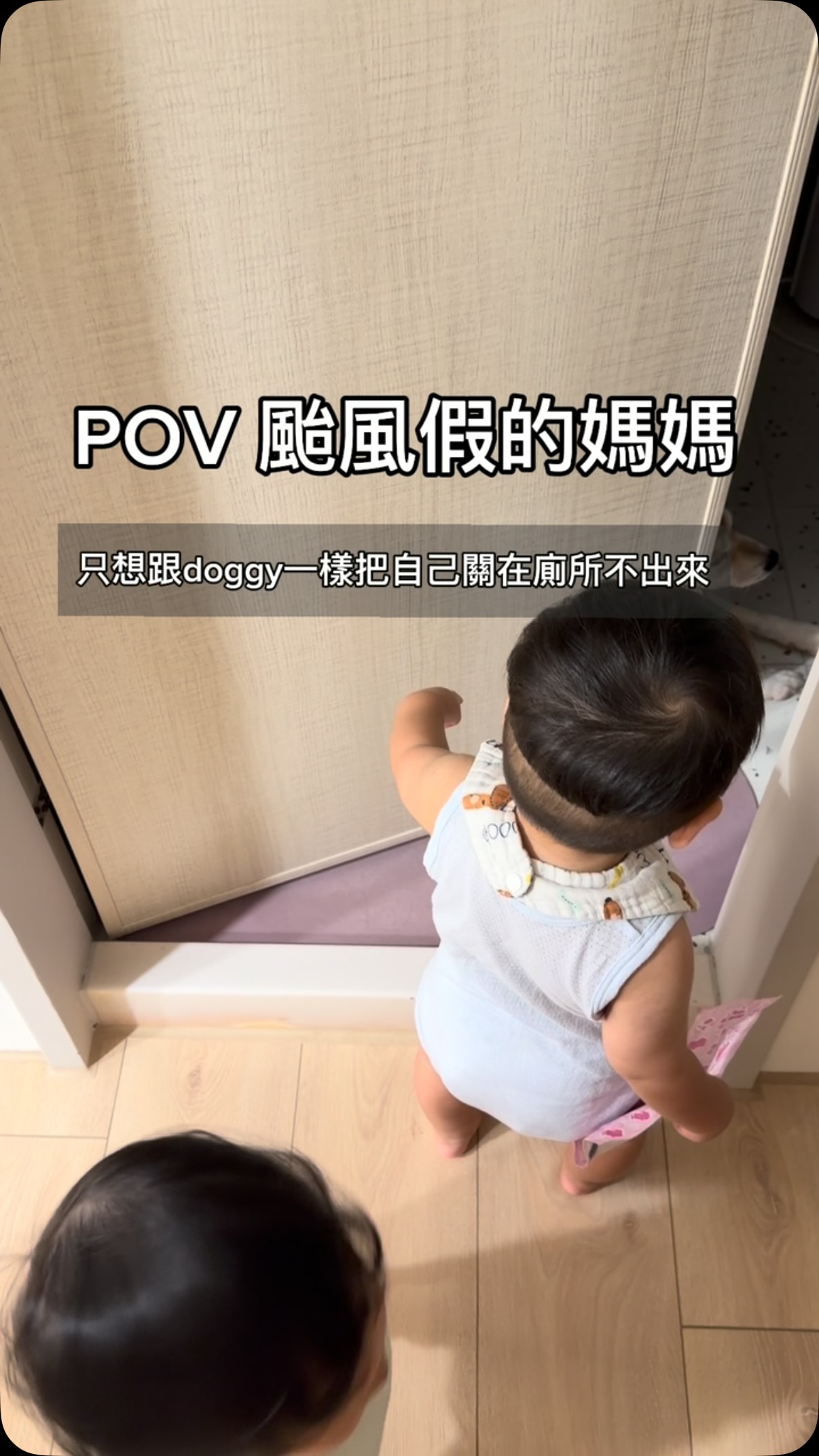 Doggy不管有沒有颱風假他每天的心境
不是自願去陽台就是廁所☺️
#雙胞胎 #颱風假 #parentlife 縮圖
