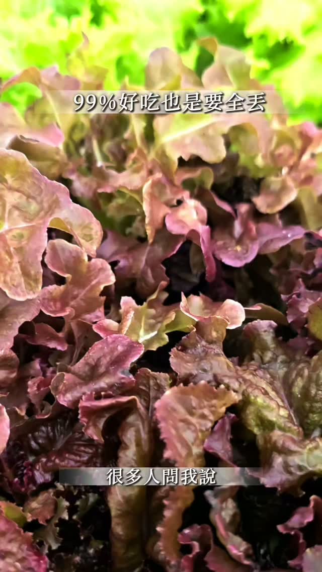#水耕 #農業 #生菜 #蟲害#台灣
『我把每個客人都當成是唯一的客人』
是我最深的感悟與堅持
蔬菜不是石頭
我知道不能完美主義
每天太陽都會升起
天偶爾也會下雨
農場也許不會每天都帶著豐盛的風景
但是我的大門永遠為你而敞開
既然你有需要
我傾盡全農場的能量來支持你
對於客人
我不接受用『次級品』來服務我唯一的客人
因為在我心中你們永遠值得最好的。
對於萵苣
你們是歷經災厄的戰友
極致的苦全面的浸潤了傷痕
我提取所有受盡的苦
煉化成獨一無二的甜口良藥
-------------------------
這是聽說很厲害的文獻連結
https://pubmed.ncbi.nlm.nih.gov/16621374/ 縮圖