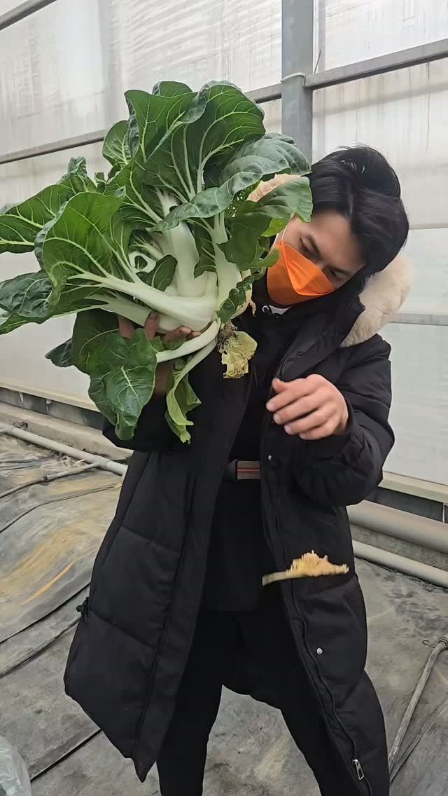 #農業 #水耕 #自動化 #生活風格 #採收
很多人都覺得我做任何事總是沒輕沒重
我們常常被告知
:應該要是這樣
:常理來說又是怎樣怎樣
總是需要一個參考的答案
來協助我們判斷
判斷合不合理
判斷值不值得
看到一個新東西
先問一下 Ai 吧
其實不是我沒輕沒重
只是先相信
我願意優先尊重
我蔬菜夥伴的真實意願
你想長多大就長多大
我支持你
發自內心無時無刻相信你
甚至比你還相信你也是發自內心的。 縮圖
