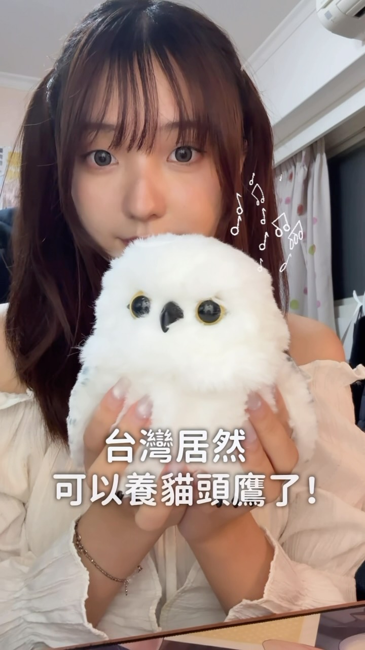 貓頭鷹🦉開箱₍ . ̫. ₎◞🪄 原本因為價格很猶豫
但看到實體真的直接結帳了!太可愛了!
#哈利波特 #環球 #環球影城 #嘿美 #開箱 縮圖