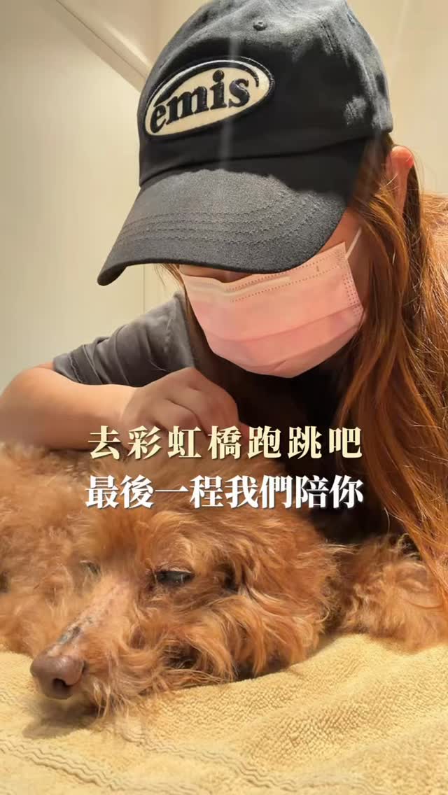 我們很幸福擁有彼此15年🩷
千萬個不捨 堅難的決定 這一天還是來了
不捨不捨 我們陪你到最後
滿滿的愛 不痛了 快去彩虹橋跑跑跳跳
好想你 我的寶貝大兒子
我們要開開心心想著你🩷🩷🩷
謝謝你來當我的寶貝
#老狗離世 #狗狗安樂 #老狗照護 #狗狗是家人 縮圖