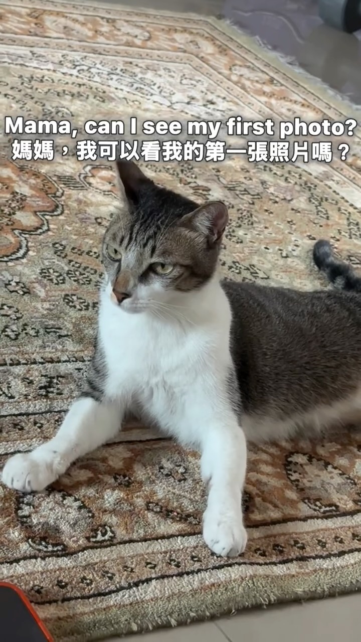 我的大寶貝呀🩶🤍
謝謝你陪我經歷這兩年的高山低谷🥹 縮圖