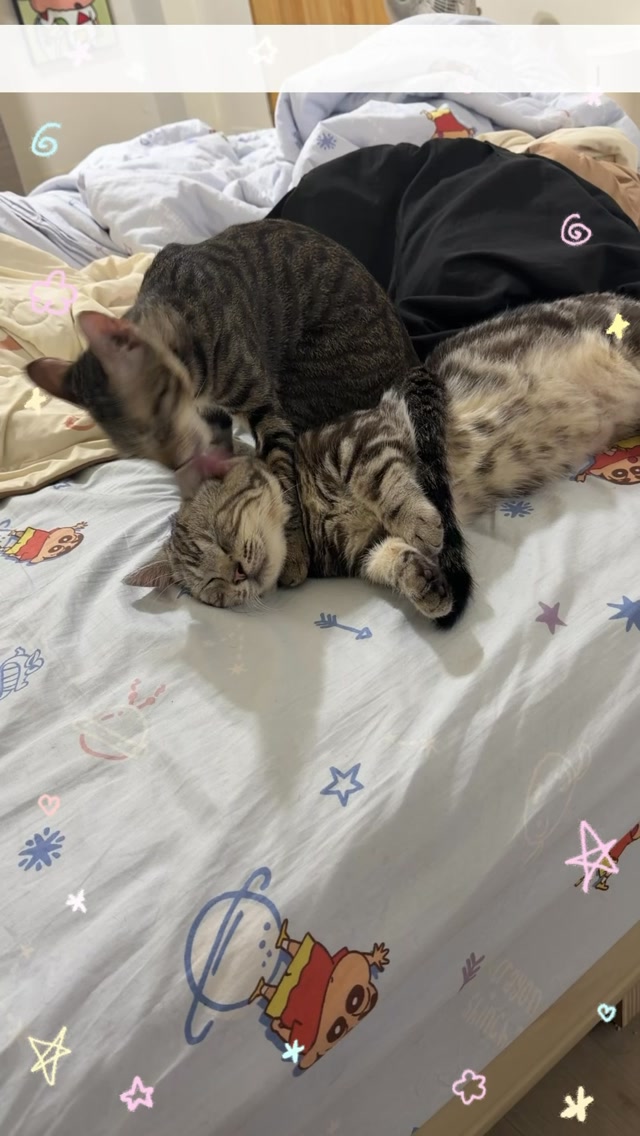 哥,你耳朵借我洗一下👅 縮圖