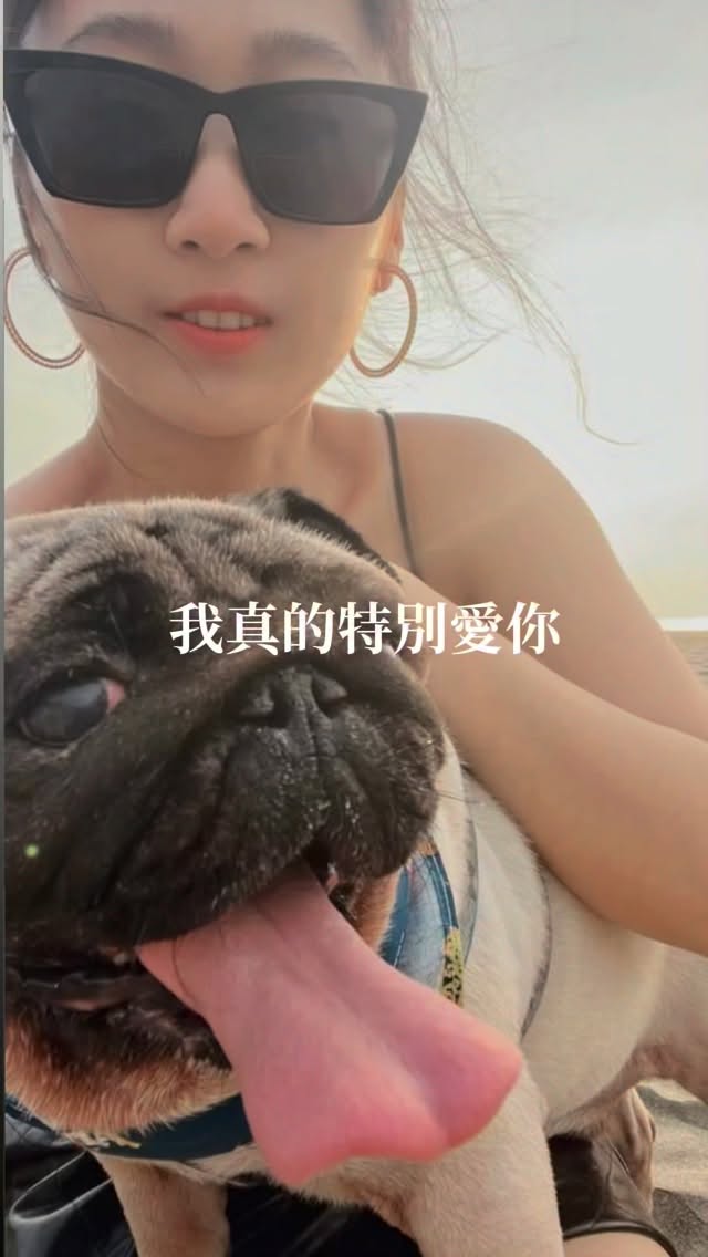 我最難過的是
8/15晚上再跟媽媽討論說要不要幫香菇買推車
然後媽媽就說:「讓香菇自己決定好了,明天早上再來問他」
結果隔天早上香菇就離開了
隔了好幾天媽媽跟我說:「他是不想讓你花這個錢」
可是⋯
我覺得沒關係啊😭😭😭😭
我還想帶他出去玩😭😭😭😭
之後再慢慢跟你們說整個故事
現在完全沒有任何心情
#李宜螢 縮圖
