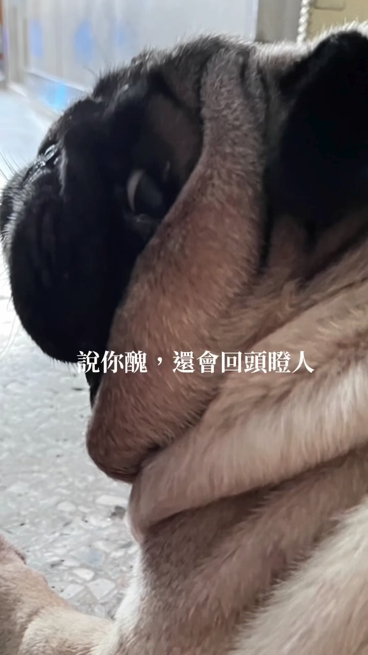 我在翻一頁很重的書
重到讓我覺得⋯我翻不過去
這一頁裝了太多太多的東西
不是一段整理完、想通了,就能放下的回憶
或許有一天我會不在需要用力翻頁
可能不是我把那一頁翻過去了
而是我發現⋯ 原來那一頁已經被我讀完了
而我想去看看這本書的結局,會是什麼?
#李宜螢 縮圖
