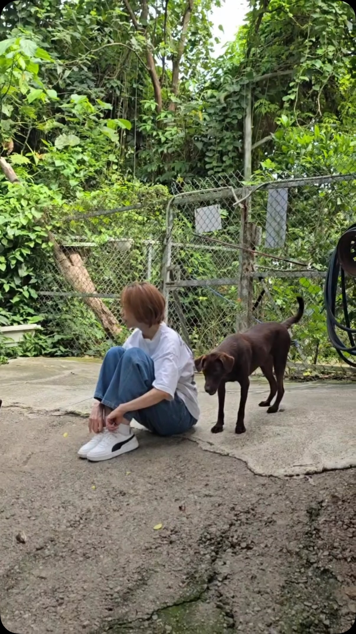 昨天去看看老朋友
#八里保育場 縮圖