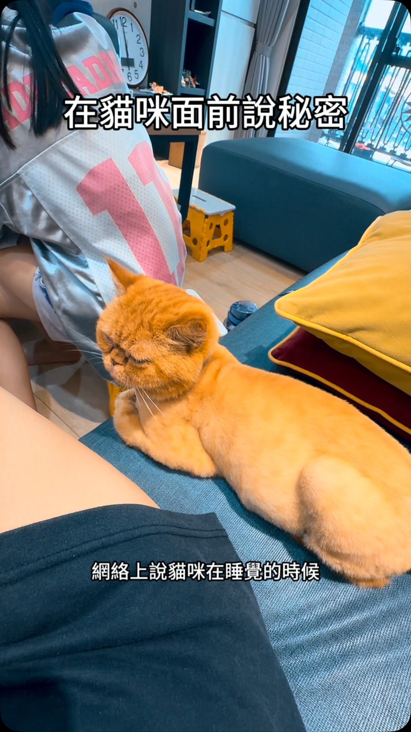 網路傳說~ 縮圖