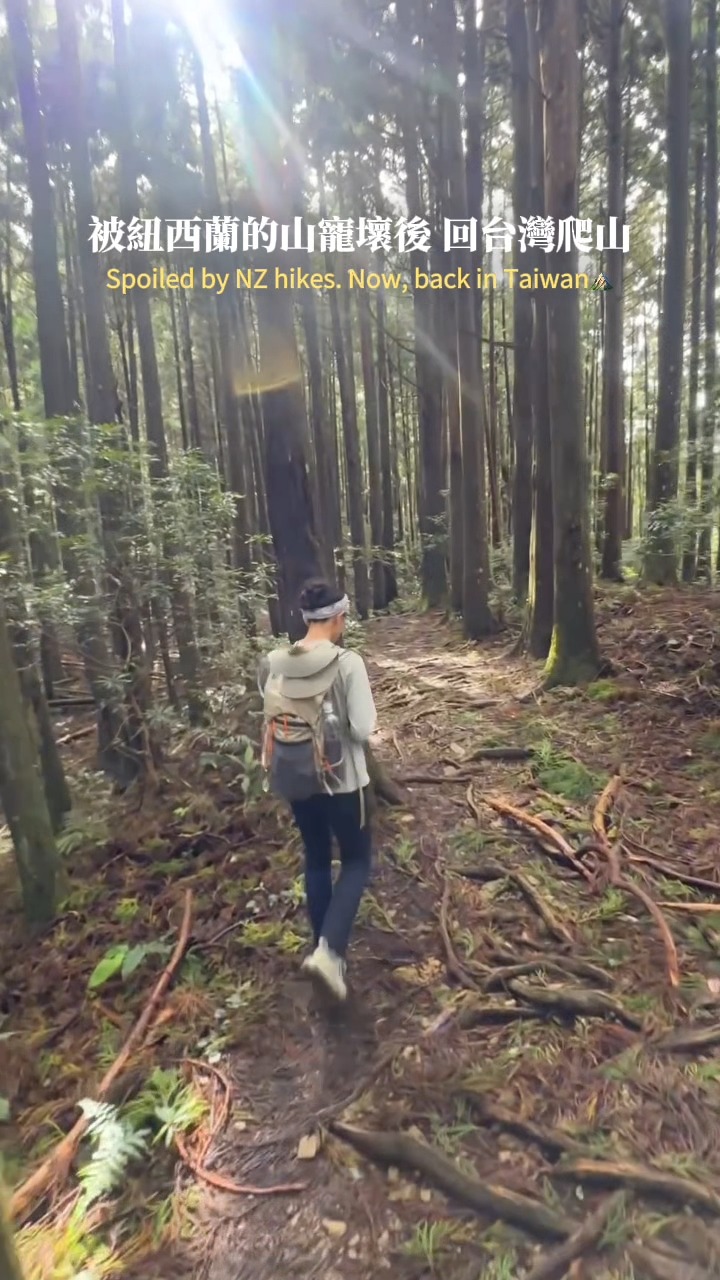 我愛山 我愛爬山🫶🏻
百岳20座的肌力
去一趟紐西蘭化為烏有慘兮兮
重新開始我的 #台灣登山復健之路

紐西蘭爬山小知識🇳🇿
熱門健行路線大多低於 2,500公尺
比較沒有高山症問題
乾燥不濕黏、不會流大汗
森林路段短，沿途展望比較多CP值高！
.
.
⛰️高島縱走
雖然沒什麼展望
但沿途迷霧森林景色還不錯
耗時約5個小時含休息
膝蓋快痛 還不到痛
總爬升約887 後段是小小攀岩場
走一個微P形回到露營區

📍高台山露營區
🅿️第三登山口付費停車場
#登山紀錄  #新竹爬山 縮圖