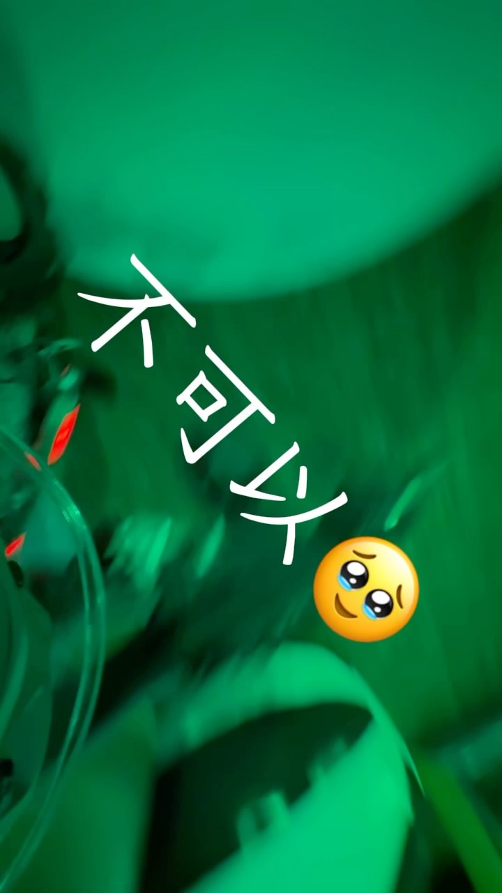 最小的最兇🥹🤣從頭到尾都在尖叫 縮圖