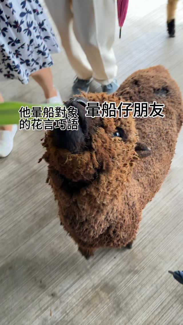 傳給你的暈船仔朋友看：）
-
#暈船 #暈船仔 #愛情 #騙子 #stupid 縮圖