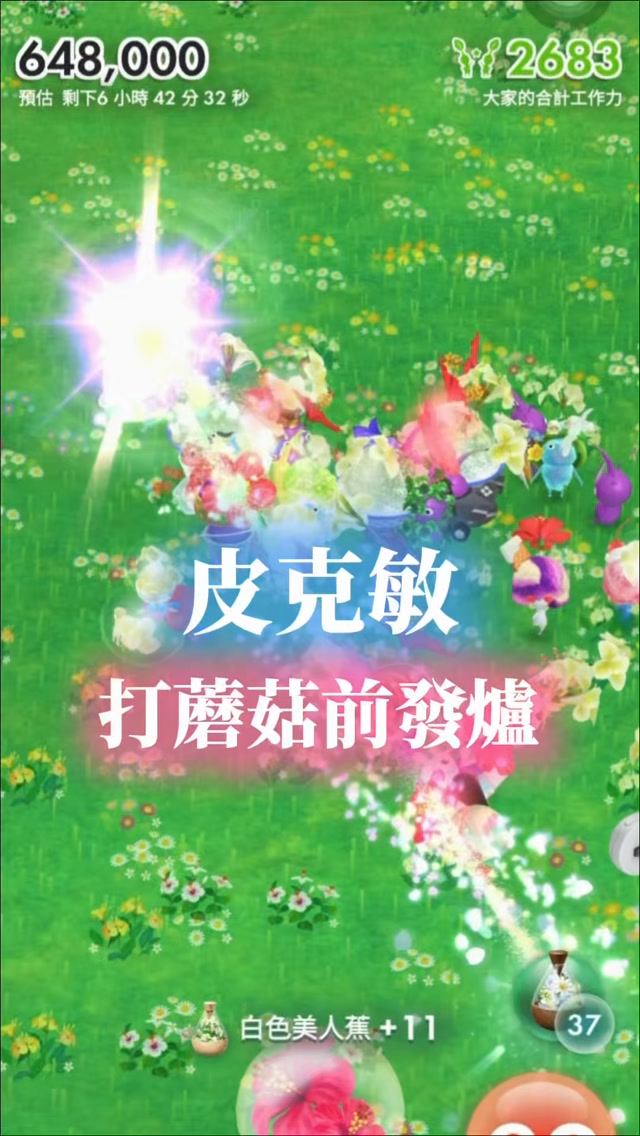 ｜︎︎𓂃⟡.·🌼
這是第二次在打蘑菇前餵精華的時候發爐😆
之前遇過一次但沒錄到！！
你們也在打蘑菇前遇過嗎哈哈哈哈

#皮克敏#pikminbloom#pikmin 縮圖