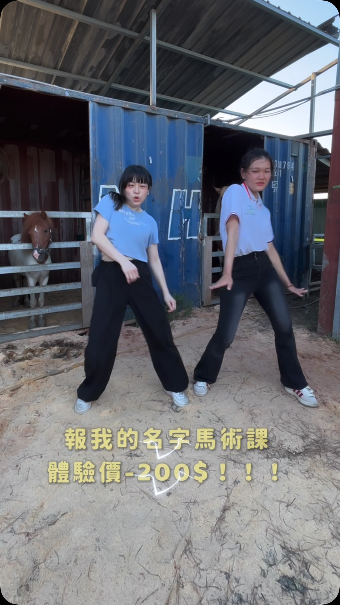 耶呼馬術第一堂課！
今天內容加強延伸 體驗課學的
原本還以為一堂40分鐘而已
應該可以連兩堂課吧…
結果太看得起自己了..大爆汗orz..
肚子好酸大腿好酸屁股好酸！
但還是好好玩！🤩

想入坑學騎馬的朋友！

兩則活動資訊告訴你們

✨馬術課體驗報我的名字$1000立減200👉$800！！！

✨週年會員活動延長到9/15

好奇心動的趕緊私訊 @yu.jian_horse ！！🐎

📍臺中市龍井區龍津里中圳路81巷46號

#馭見馬術 #台中 #馬術 #騎馬 縮圖