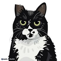 我們這一家動物園🐶🐶🐱🐱🐱 Instagram 創作者頭像