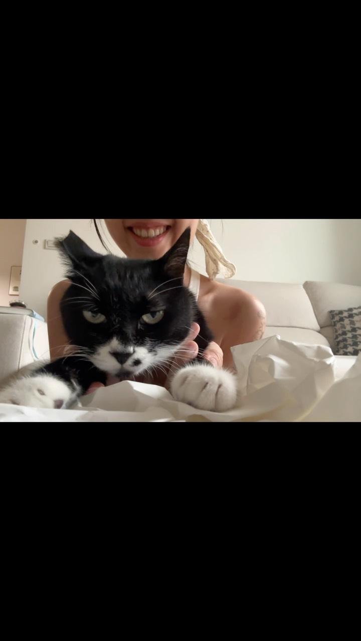 🤣🤣🤣🤣🤣📜📄📑🗒️小玲跟風ASMR,怎麼會一臉不情願呢🤣🤣🤣🤣
#meow #cat #賓士貓 縮圖
