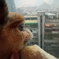 yulin Instagram 創作者頭像