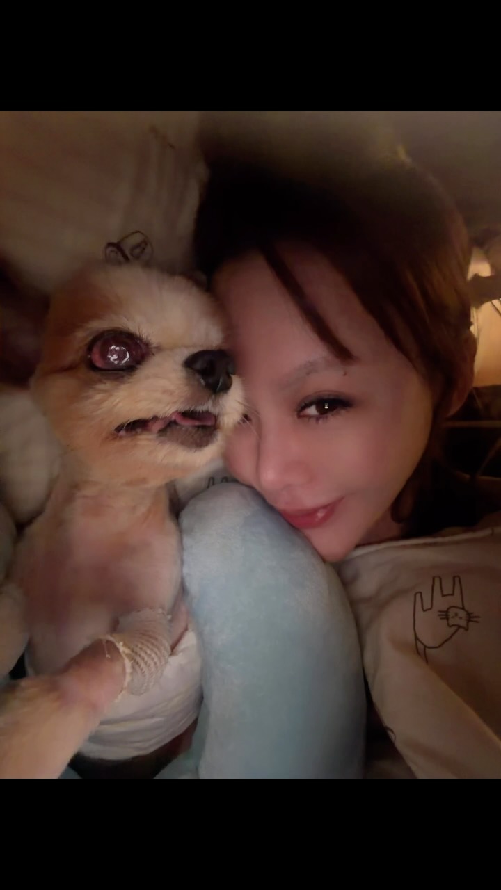 崔迪要走的前三天已經感覺到了
哪裡都不去就陪著他
崔迪也一如反常的從傲嬌小狗開始撒嬌
我們都知道時間要到了
就是捨不得

我們不要再見了
你這麼好的孩子媽媽好配不上你 縮圖