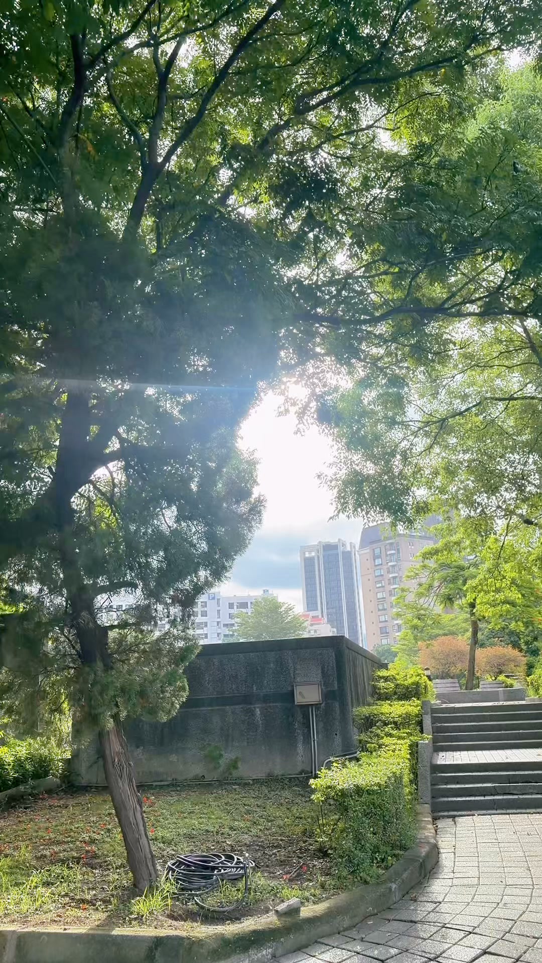 六年了⋯
這六年裡,你經歷了好多⋯一個孩子原本不該承受的事情。
治療、住院、不舒服、一次又一次的等待,對很多人來說,笑是一件很自然的事,但對你來說,有些時候,連一個笑容,都顯得那麼珍貴。
而今天,我只想好好看著你⋯
記住你的眼神
記住你的笑聲
記住你暫時忘了醫院、忘了治療,
只是單純做一個孩子的樣子。
這些年,你已經勇敢太久了⋯
所以今天,你只要好好玩、
好好笑、好好當一個孩子。
剩下的路,爸爸和媽媽都會陪著你⋯
有些笑容看起來很平凡,卻是我們走了很久,才重新遇見的幸福。
這一刻,我們只想好好收藏。
#紅鼻子醫生
#珍惜當下
#有些笑容值得等很久 縮圖