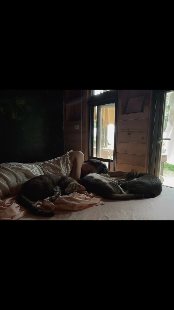 午覺時間 nap with us 縮圖