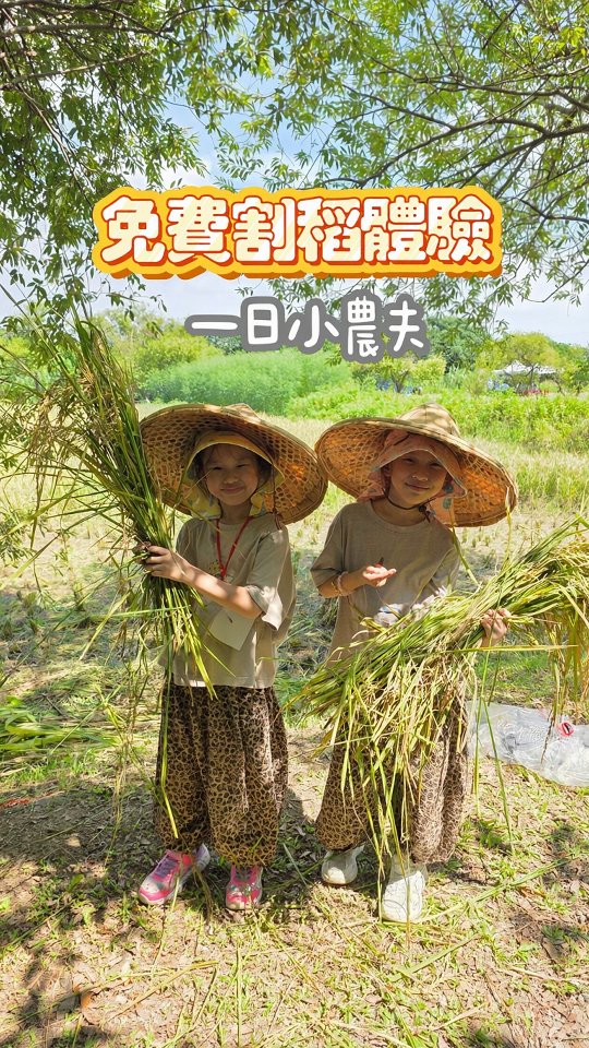 珍珠寶上學跟同學聊天
說她放暑假的時候有去割稻
結果同學竟然不相信她🤣
只好趕快把影片剪出來當證據😆

這是我之前好不容易搶到的
免費小農夫體驗🌾
孩子戴上小斗笠
走進稻田親手割稻
不只是拍照而已
還實際體驗稻米收割的過程
對現在的孩子來說真的很難得
我自己也玩得很開心

這場活動目前已經結束囉
這種免費又特別的親子活動
名額通常都很快就滿
想第一時間收到活動情報
記得先追蹤我喔
@meow.meow.woo 縮圖