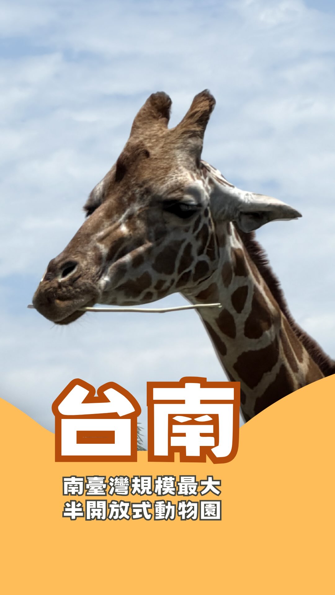 整修後的 頑皮世界野生動物園
比以前更好玩了😍
整個園區變得更加乾淨
不只是看動物而已,
根本是「動物園+遊樂園+水樂園」一次滿足!
可以近距離看水豚、長頸鹿、企鵝、袋鼠
還有小朋友最愛的遊樂設施跟放電空間
園區設施很多,慢慢玩真的可以待上一整天🐾
最喜歡的是這裡有很多互動體驗
孩子不只是「看動物」
而是真的能近距離觀察、感受動物的可愛❤️
整修後不論環境、設施還是遊玩感受都升級很多! 縮圖