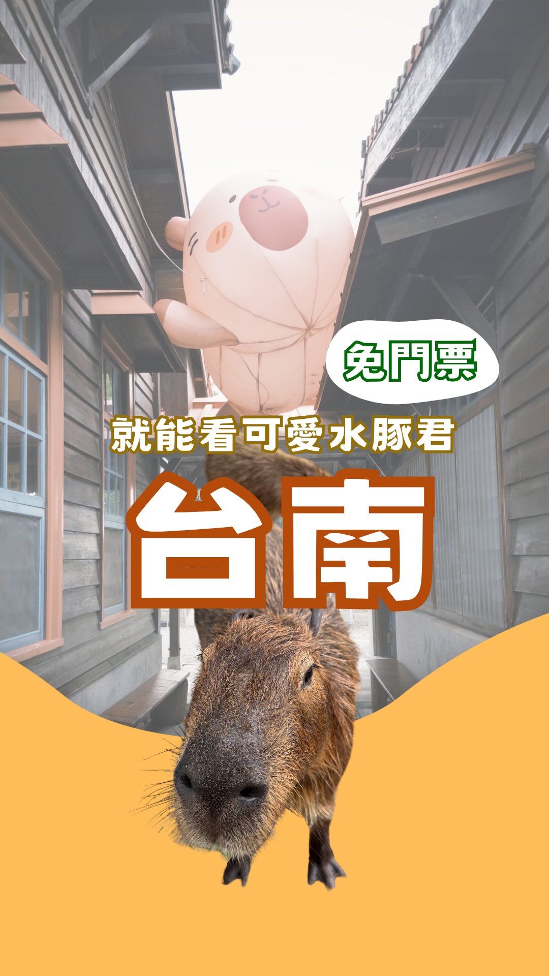 這裡不僅免門票入園,還有免費停車場
可以近距離看到超萌水豚,
現場也有販售牧草,讓大家體驗餵食水豚的樂趣
除了和水豚互動之外,
園區內還能體驗各種DIY手作,
像是生日御守、淨身鹽包、能量水晶瓶等,
每一項都很有特色!
逛累了也不用擔心,現場還有提供下午茶餐點,
可以悠閒吃個點心~
如果近期有安排到台南安平旅遊,
推薦把這裡一起排進行程裡,療癒又好拍📸✨
📍安平出張所
🗺️臺南市安平區王城里古堡街196 號
🕐10:00-18:00 縮圖