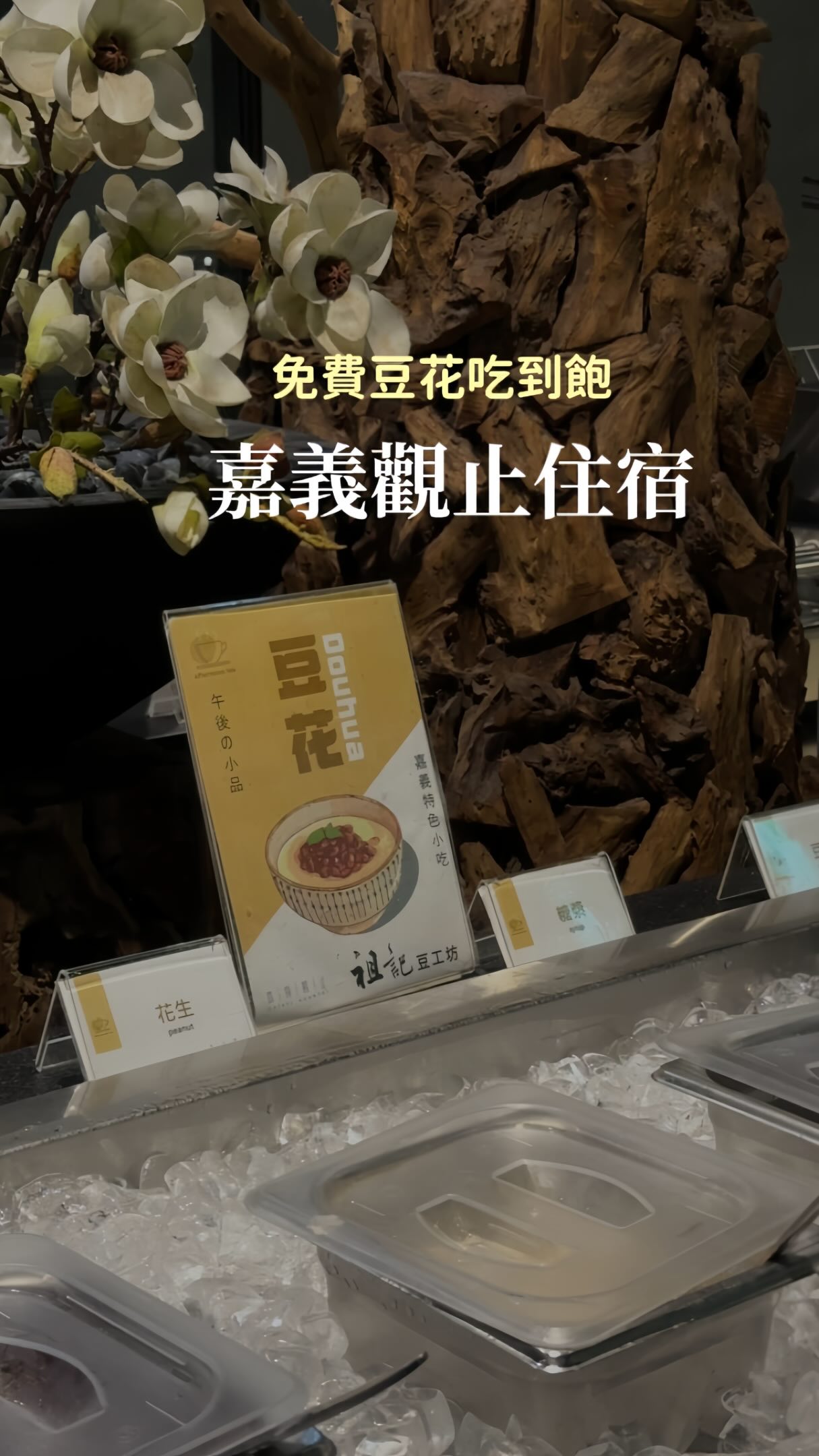 免費豆花吃到飽😻🔥

這次來嘉義2天一夜入住嘉義觀止
2個人平日3千有找
而且迎賓小點很豐盛欸💖
入住還送你一罐大茗的桂花冷露☺️
房型各方面我都很喜歡
唯一缺點「隔音很差」
所以這家大家斟酌考慮嘍✌️

#嘉義 #嘉義住宿 #嘉義觀止 縮圖