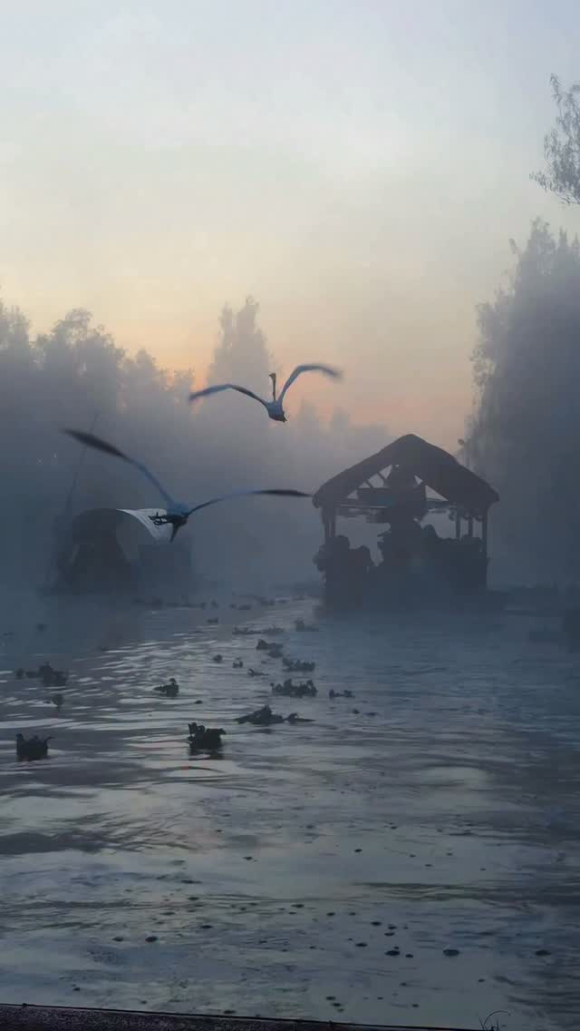 Ever seen a view this dreamy?
Want this exact view? Book the sunrise ride.
📍 Xochimilco, Mexico City
🚣 @tlanextli_kayaks 

這麼夢幻的墨西哥
我不允許只有我自己看過！
#墨西哥 #xochimilco 縮圖