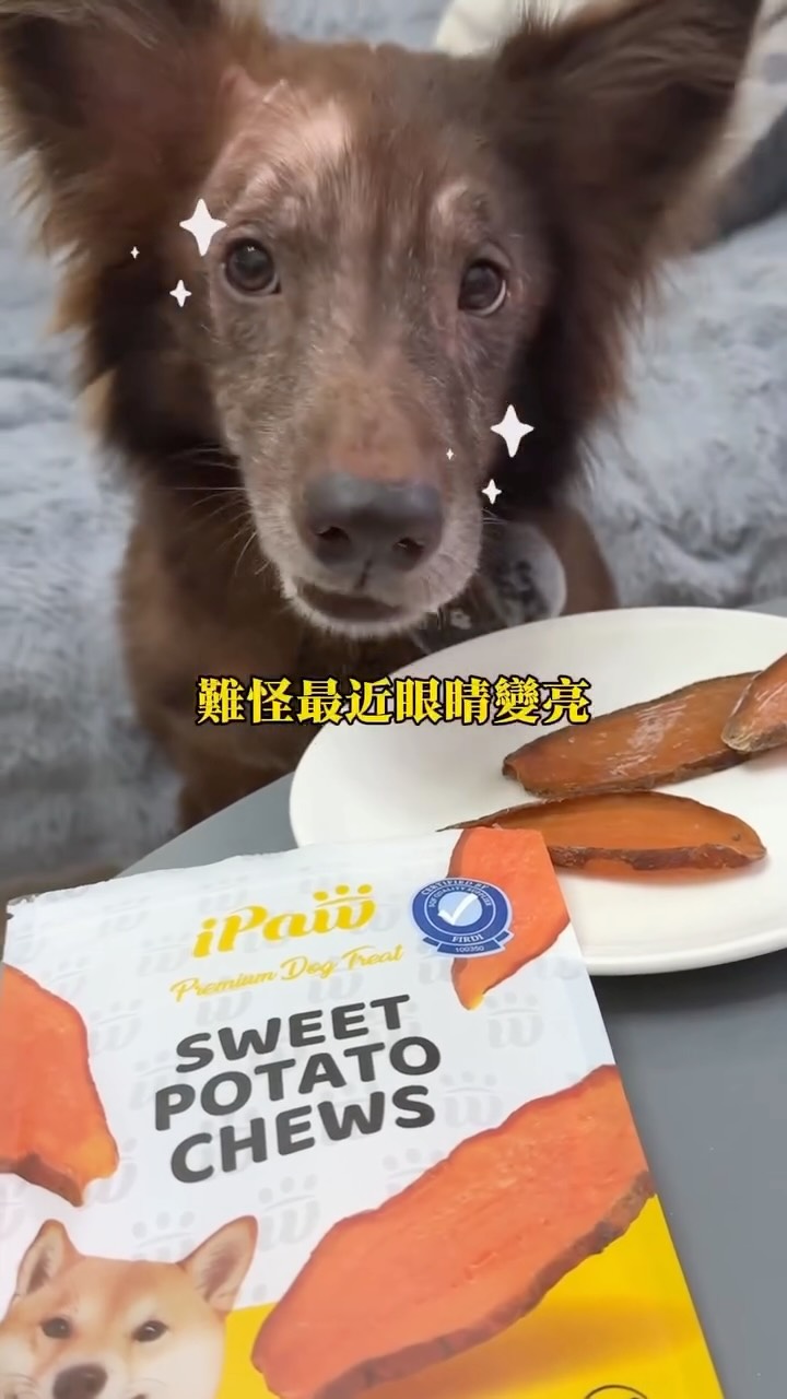明明可以直接吃 他卻選擇出來拍廣告
小孩長大了,懂事得讓人心疼🥺
浩浩吃的這款~
iPaw 100% 純天然地瓜乾
毛孩的健康零食新選擇
為毛孩挑選最安心的美味!
市售獨家純天然單一成分
富含膳食纖維和維生素幫助消化
讓毛孩吃得健康 爸媽也安心❤️
產品特色
✔️ 精選台農66號紅肉地瓜,品質更有保障
✔️ 無麩質澱粉,敏感體質也能安心享用
✔️ 適口性高、耐咀嚼,小型犬或貓咪也愛不釋口
✔️ 高纖低敏,呵護消化系統與腸胃健康
✔️ 不含人工香料、色素、防腐劑,回歸自然純粹
市面上很多寵物零食
不知道要選哪一種的家長們
真的蠻推薦這款的喔! 縮圖