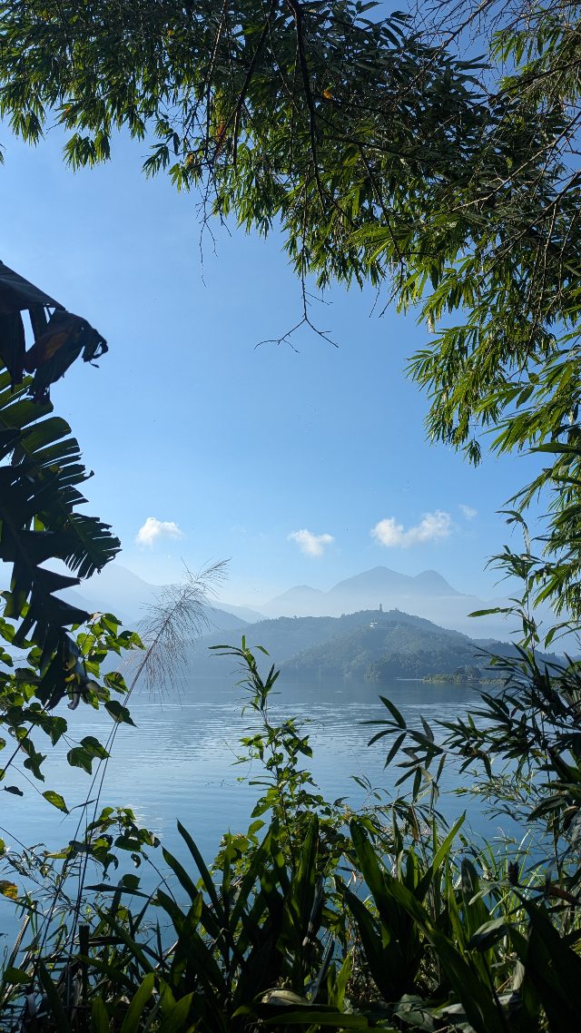 Summer is almost over, so here's a reminder to put down our phones, stop doomscrolling, and get out there and enjoy the beauty we call home, mother earth 🥰
Here are some wonderful clips of Taiwan's nature, including Hualien Guangfu recreational forest, Sun Moon Lake, Bitou Cape Park and Little Liuqiu!
夏天接近尾聲,這個週末不妨放下手機,停止手機不停的負面刷屏,去享受我們家園,地球,的好山好水 🏞️
這些都是台灣的美景,包括花蓮光復鄉的大農大富森林園區,日月潭,鼻頭角公園和小琉球! 縮圖