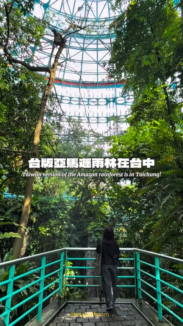 ☛ 台版亞馬遜河就在台中 .ᐟ
門票只要 20 元,就可以踏入一個有瀑布、彩虹與大片叢林綠意的城市秘境,相信很多人都知道台中科博館,但科博館旁的植物園你們去過嗎?
這裡以熱帶雨林為主題,不僅可以看見許多城市裡看不到的植物樹木,甚至還有全世界最大的淡水魚 ― 象魚(巨骨舌魚),每週二、四、六、日 15:30 還有定時餵食導覽,這些通通都包含在門票內,只要兩個銅板就可以享受城市綠意、探險亞馬遜河,喜歡大自然的朋友快快收藏起來~♡
#台中景點 #台中科博館 縮圖