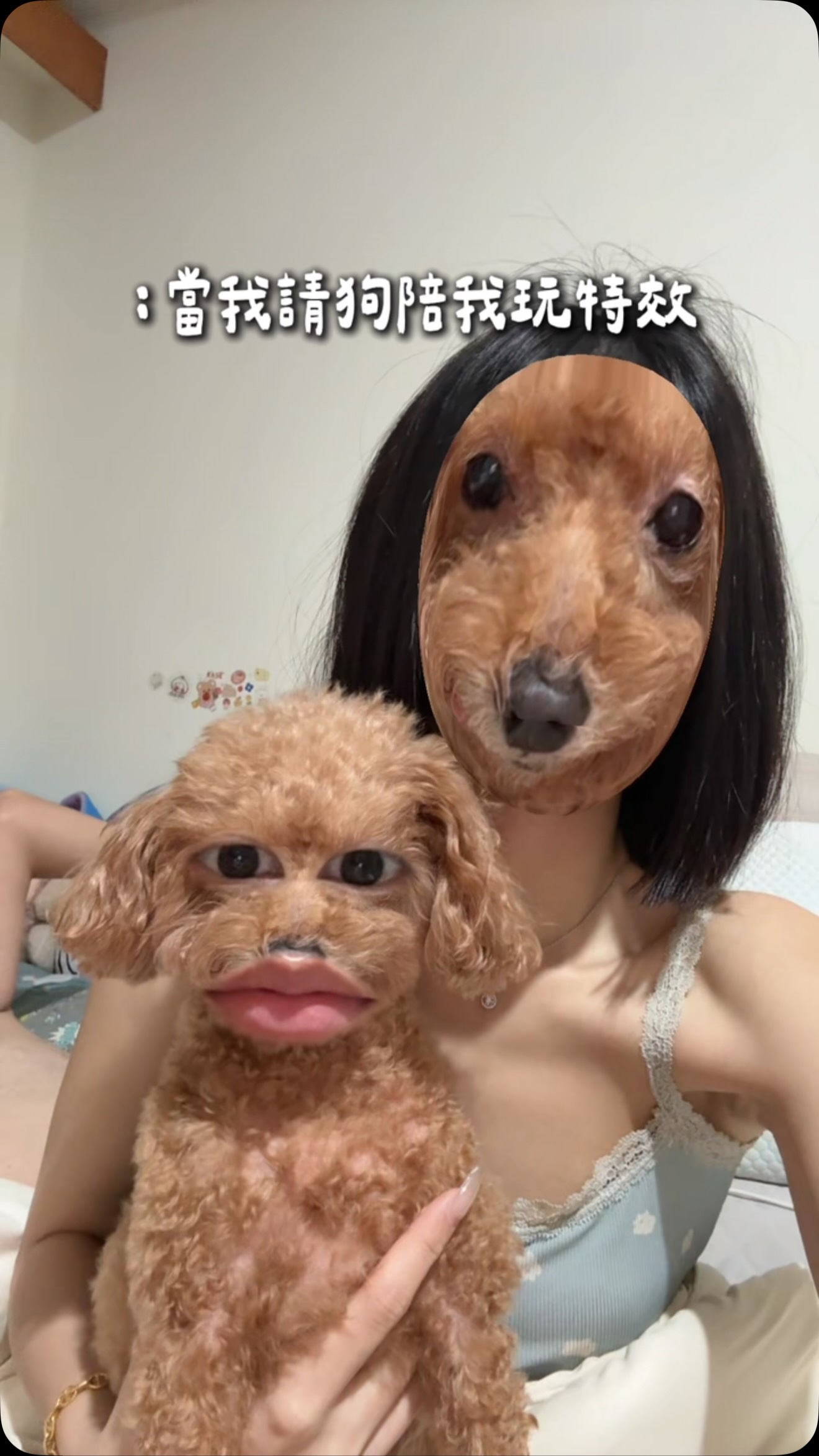 有點好玩⋯⋯😂😂
📣 留言「🐶」我傳特效網址給你🙌🏻
💡【 影片最後也有特效資訊唷 】
#寵物 #貴賓狗
#晉捷生物科技一顆包子 縮圖