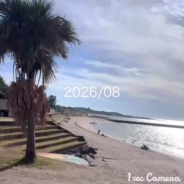 八月的我 
一直在跑醫院（喘
手腳發麻的症狀還在持續中我要去復健ㄌ 縮圖