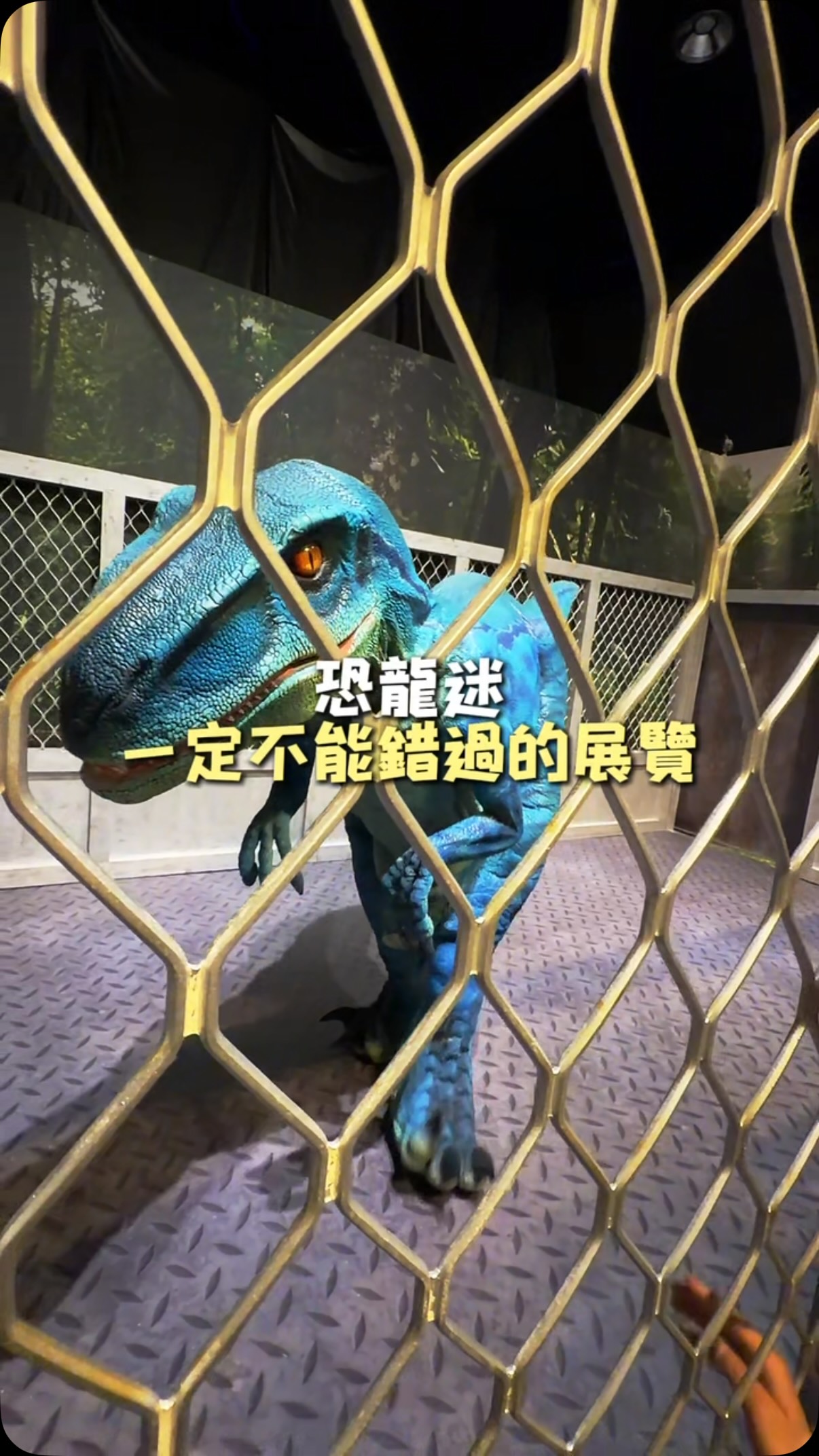 台北最近有一個恐龍展,家裡有喜歡恐龍的小孩,可以直接收藏起來🦖
現場有一隻超大的 13 公尺暴龍,還有恐龍餵食、恐龍蛋、迅猛龍等互動體驗,小孩可以一路邊看邊玩,不會只是逛一圈看模型。
📍國立臺灣科學教育館 7 樓
展覽|侏羅紀恐龍奇遇記
展期|即日起~2026/10/11
平日|10:00~17:00
週末、國定假日|10:00~18:00
地址|台北市士林區士商路 189 號
家裡有小恐龍迷的,這個週末可以帶去放電
#侏羅紀恐龍奇遇記 #科教館 #親子活動 縮圖