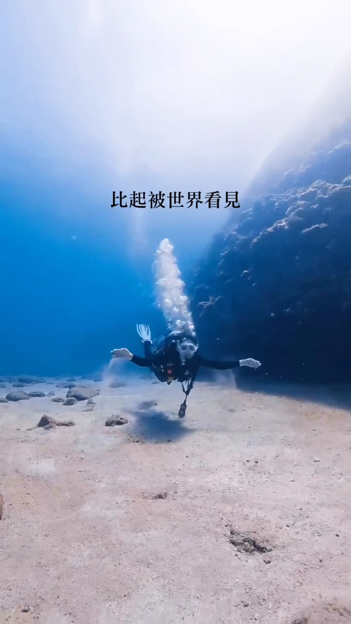 比起被世界看見
我更喜歡好好感受世界 🌊

#潛水 #蘭嶼 縮圖