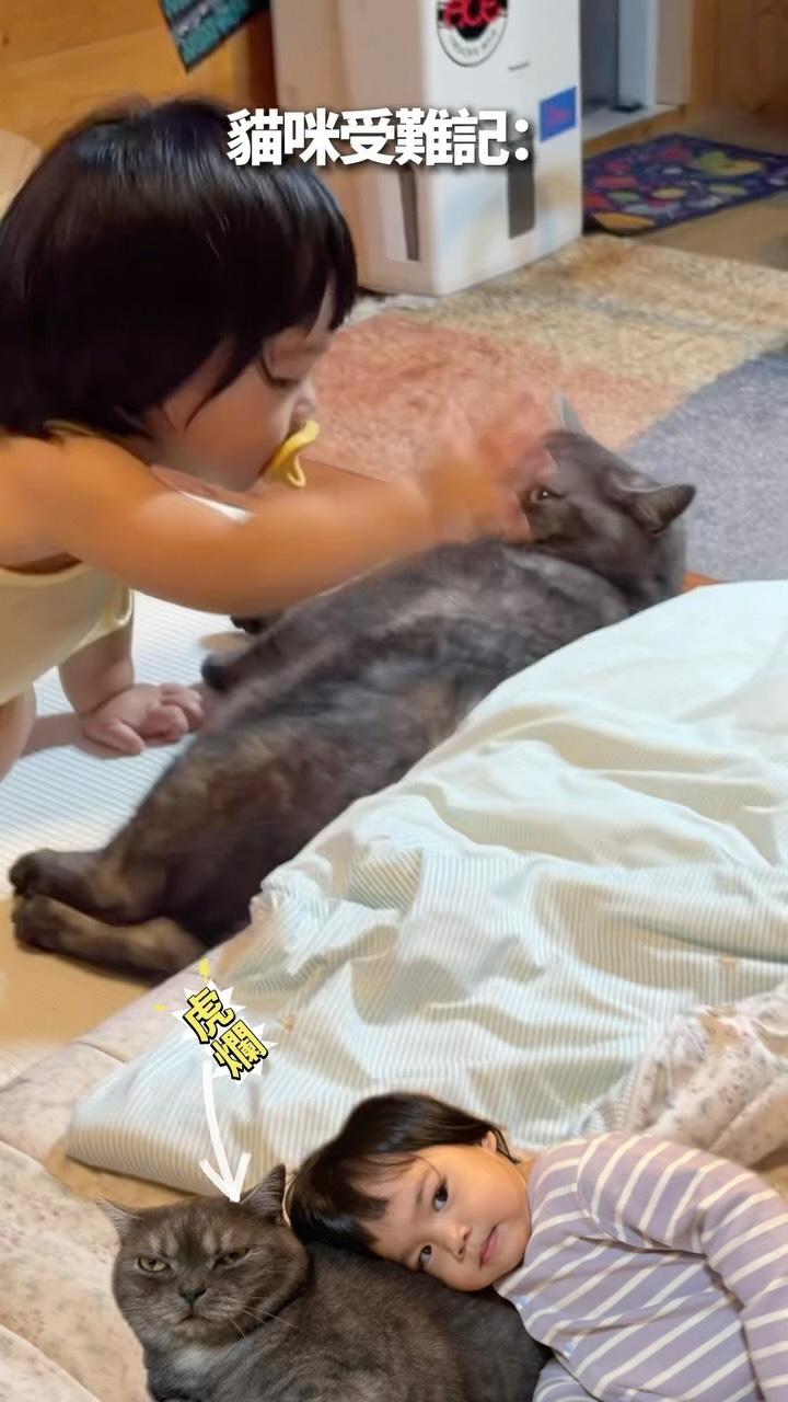 虎爛妳是最愛妹妹的雪豹～

#阿比家生活 縮圖