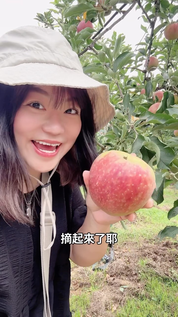 【熊本植木｜吉次園現採水果】

來熊本不只看熊本熊
還可以直接走進果園採水果🍇

9月正好能遇到葡萄、梨子和蘋果
自己挑、自己剪
剛採下來的香氣和甜度真的不一樣

這裡除了觀光果園
還有水果直賣所和 KICHIJIEN Cafe
採完可以繼續吃水果甜點

📍観光農園 吉次園
地址｜熊本市北區植木町木留556-1
交通｜熊本市中心開車約25分鐘
營業｜採果種類及時間依當日果況公告
果物｜9月以葡萄、梨、蘋果為主
費用｜依水果品種、採摘方式及重量計算
電話｜096-273-2544
提醒｜不同水果的果園入口及停車區可能不同，出發前先向園方確認

#熊本採果 #吉次園 #熊本自由行 #熊本景點 #日本採果 縮圖