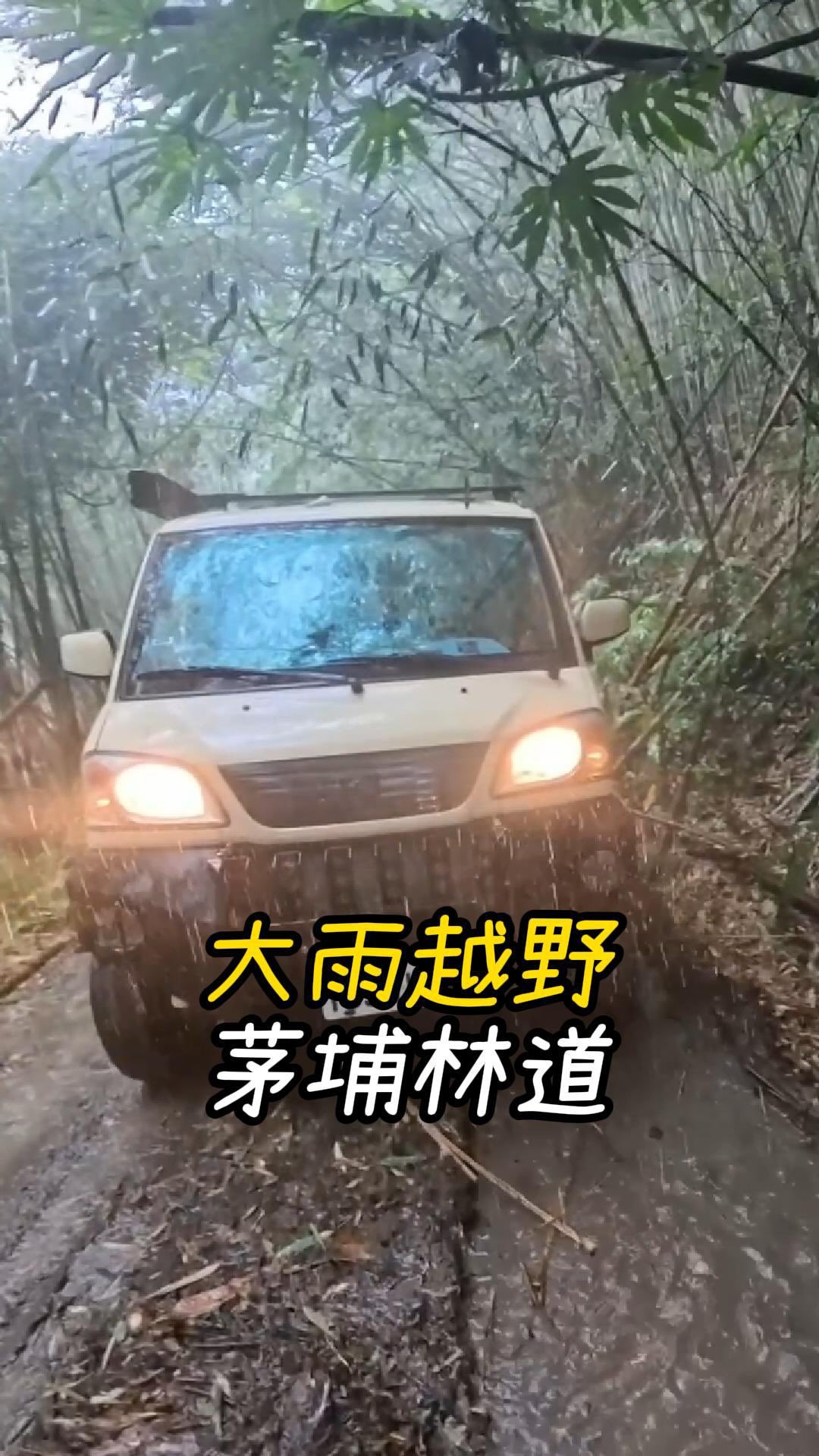 胖卡:啊啊啊!欸~~其實不錯玩
終於林道挑戰成功了🤩
雖然知道下雨越野的風險
不過跟著夥伴們擔憂還是減少了很多
感謝兩位幫帶~ 胖卡說他玩得很開心
下次再去哪裡?
#茅埔林道 #越野 #露營車 #胖卡 #四輪驅動 縮圖