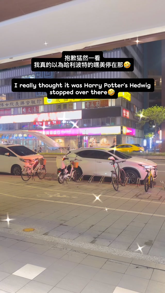 沒想到台北市區也可以看到白貓頭鷹🦉 縮圖