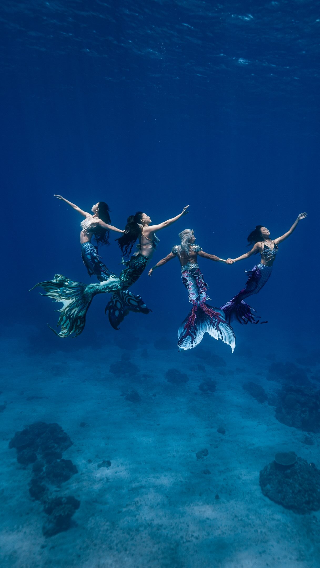 Mersoul 洄游綠島🌊
我們把人魚的夢幻、水舞的自由
一起帶進綠島最純粹的藍裡
在海裡跳舞
在浪裡化身為人魚
每一次下潛
都與大海重新相遇
2026 的藍色回憶先收藏起來
2027 Mersoul 洄游計畫
敬請期待🌊
人魚、水舞
@afa_zhang
@dreamrisextang
@c_lovefit803
@vaniayang2000
@n_nfan.jj
影片剪輯 @szu_andy 縮圖