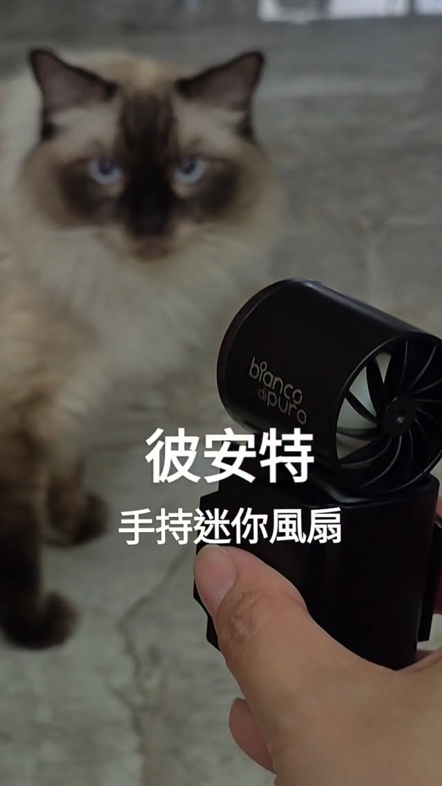 🔥 運動爆汗救星:德國彼安特20,000轉迷你風扇
原價:899元/台
限時優惠:630元/台,兩台1200元免運
夏天運動、打球熱到爆汗,衣服黏在身上超燥熱?
別再用夜市的玩具風扇了,這台 彼安特口袋型強勁風扇 直接給你硬核規格!
20,000轉暴風級降溫:機身比 iPhone 還小,但內心裝了 20,000 RPM 高速馬達,實測風力狂暴,運動完一吹瞬間乾爽。
雙手徹底解放:隨附專屬掛扣支架,可以直接卡在褲頭或包包上,風直接往衣服裡灌,免手持超方便!
專為戶外打造:耐汗、防摔的 ABS 樹脂材質,運動粗用也不怕壞。
科技感 LED 面板:6 檔風速、電量 % 數直接顯示,不用盲猜電池剩多少。
長效續航:3,000mAh 鋰電池+Type-C 快充,帶出門打球用整天超安心。
💪 拒絕高溫狼狽,移動空調這邊搶:
🔗 需要的留言給我,我傳連結給你 縮圖
