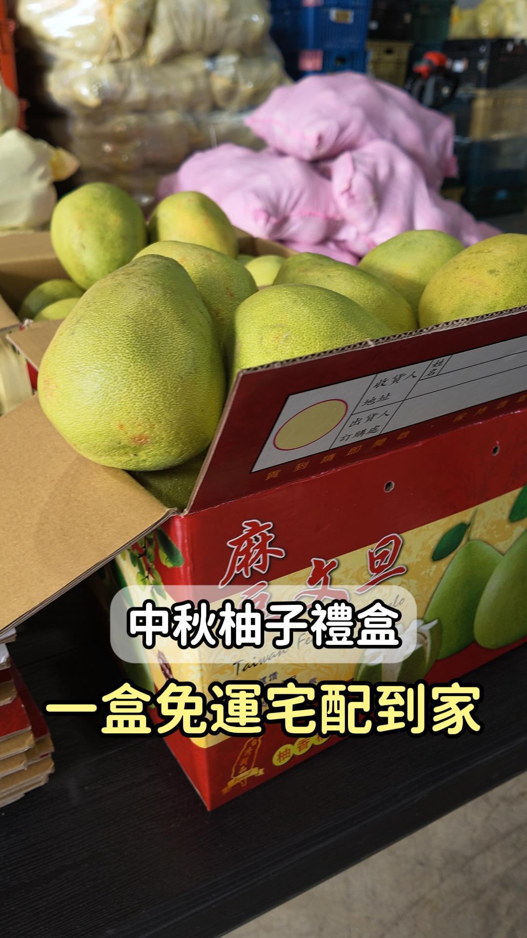 -
中秋佳節快到了🌕
今年送禮就選產地直送的麻豆老叢文旦!
從源頭把關品質,果肉細緻、清甜好吃
不管是自己家裡吃,還是送長輩、親友都很適合💞
#少了中間層層轉手直接把價格回饋給大家
🎁 中秋文旦禮盒
一箱 10 斤/只要 $590
直接含運宅配到家!一箱就免運✨
留言「柚子」
我把優惠連結傳給你🍐
#中秋禮盒 #文旦 #柚子 #批發 縮圖
